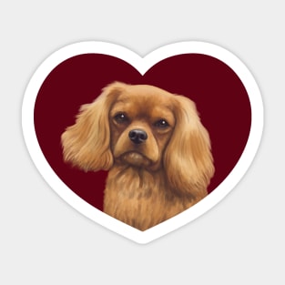 Cavalier King Charles Spaniel - Ruby in a Heart Sticker